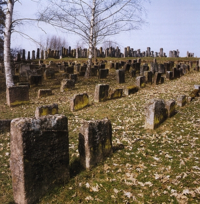 Blick vom Alten zum Neuen Friedhofsteil; im Vordergrund links: Stein (Nr. 1709) des Elieser aus Schwabach (18. / 19. Jh.) (Aufn. 2003, Dieter Komma); Kuhn, Peter: Jüdischer Friedhof Georgensgmünd. München - Berlin: Deutscher Kunstverlag 2006, S. 6, Abb.6.