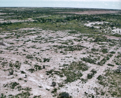 The E sector of AK9 before excavations. September 2003.
