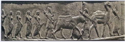 7. Asino da soma raffigurato sulle porte bronzee di Imgur-Enlil, l'odierna Balawat. IX sec. a.C. (British Museum); ibid., pg 28.