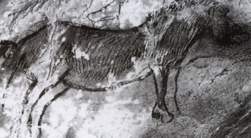 Wildpferd, Niaux, Ariège, Frankreich, 14 000-12 000 v. Chr., Pigment auf Kalksteinfels, Länge des Pferdes 71 cm; Abb. 1.17, ebd., S. 35.