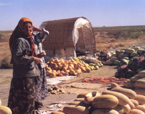 27. Mercatino ambulante lungo le piste del Karakum, Turkmenistan. (Arch. Centro Studi Ricerche Ligabue / A. R. Cengia); ibid., pg 46.