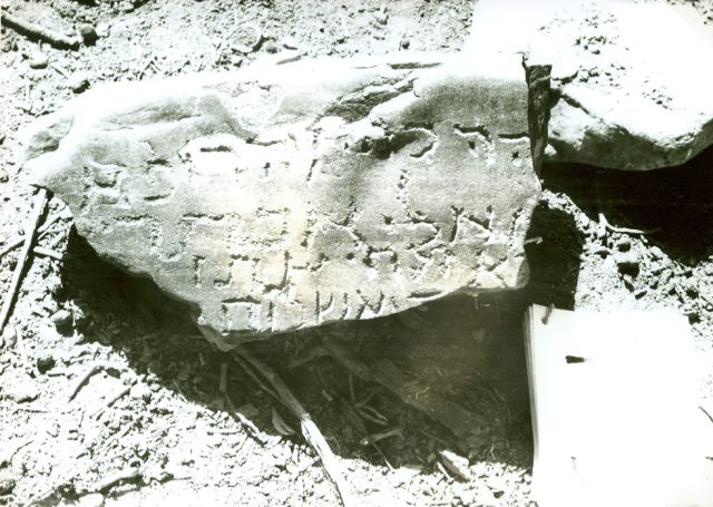 Afghanica 40 (Neufund 1970 - 1971 J, Fragment von 4 Zeilen: ""Priesternachkomme und Arzt" (d.1192-93) - W. Herberg - ©Museo-on Afghanica 40 (Neufund 1970 - 1971 J, Fragment von 4 Zeilen: ""Priesternachkomme und Arzt" (d.1192-93) - W. Herberg - ©Museo-on