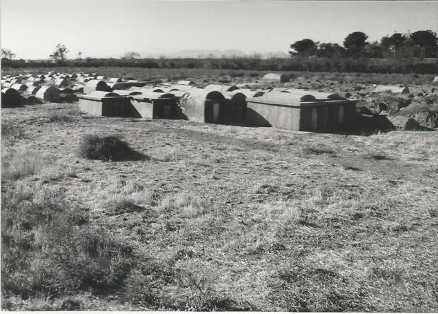 Abb. 2: Gräber jüngeren Datums (Vordergrund), Jüdischer Friedhof Herat - Foto: W. Herberg, 1973 - © Museo-on