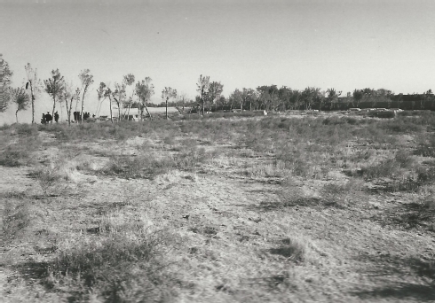 Ältester Teil des Friedhofs: jünste Gräber (Hintergrund), ca. 250-300 Jahre alte Gräber (Baumreihe links - Foto: W. Herberg - ©Museo-on Ältester Teil des Friedhofs: jüngste Gräber (Hintergrund), ca. 250-300 Jahre alte Gräber (Baumreihe links - Foto: W. Herberg - ©Museo-on