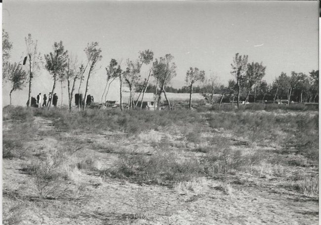 Abb.4: Blick auf den jüdischen Friedhof von Herat,  - Foto: W. Herberg, 1973 - © Museo-on