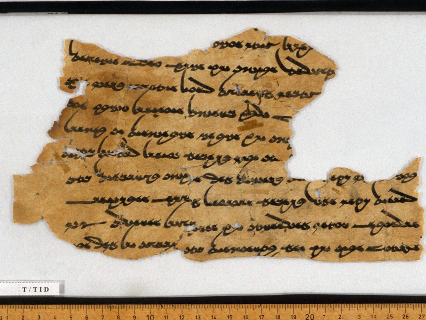 Mitteliranische Texte in sogdischer Schrift / Chinesisch-sogdische Texte: so10000(1) + so10650(30)_seite1
Quelle: turfan.bbaw.de